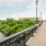 a bridge over a river