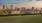 a city skyline with a large field in front of it